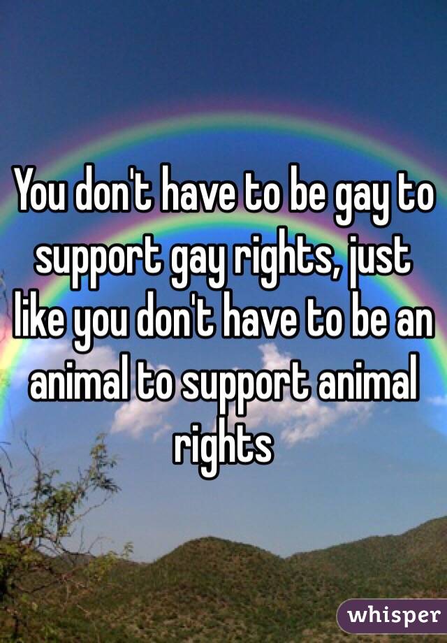 You don't have to be gay to support gay rights, just like you don't have to be an animal to support animal rights 
