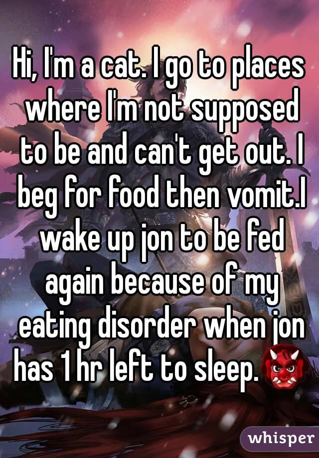 Hi, I'm a cat. I go to places where I'm not supposed to be and can't get out. I beg for food then vomit.I wake up jon to be fed again because of my eating disorder when jon has 1 hr left to sleep.👹