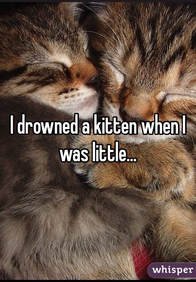 I drowned a kitten when I was little...