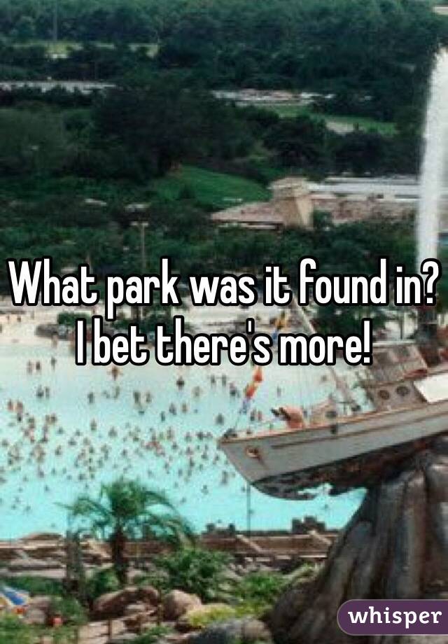 What park was it found in? I bet there's more! 