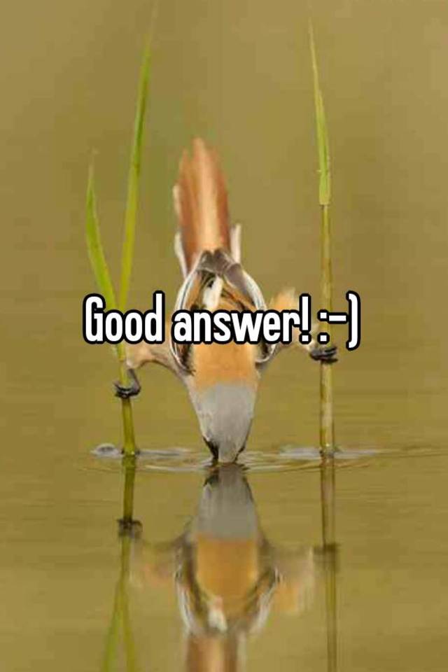 Is Everything Good Answer