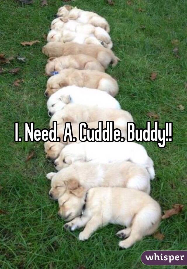 I. Need. A. Cuddle. Buddy!!