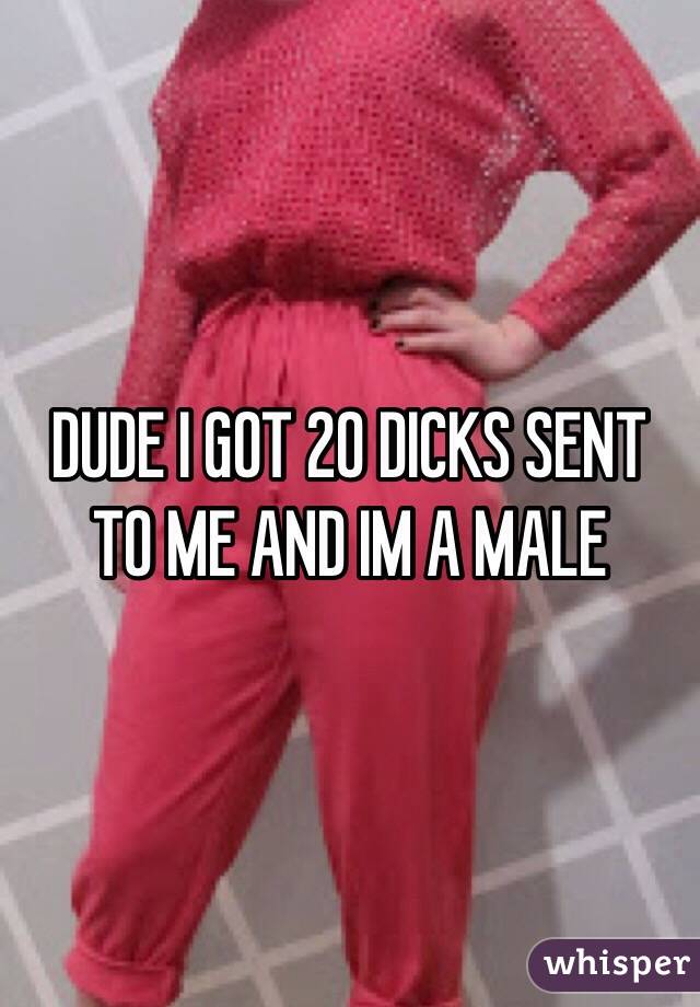 DUDE I GOT 20 DICKS SENT TO ME AND IM A MALE