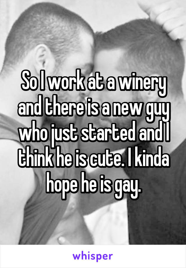 So I work at a winery and there is a new guy who just started and I think he is cute. I kinda hope he is gay.