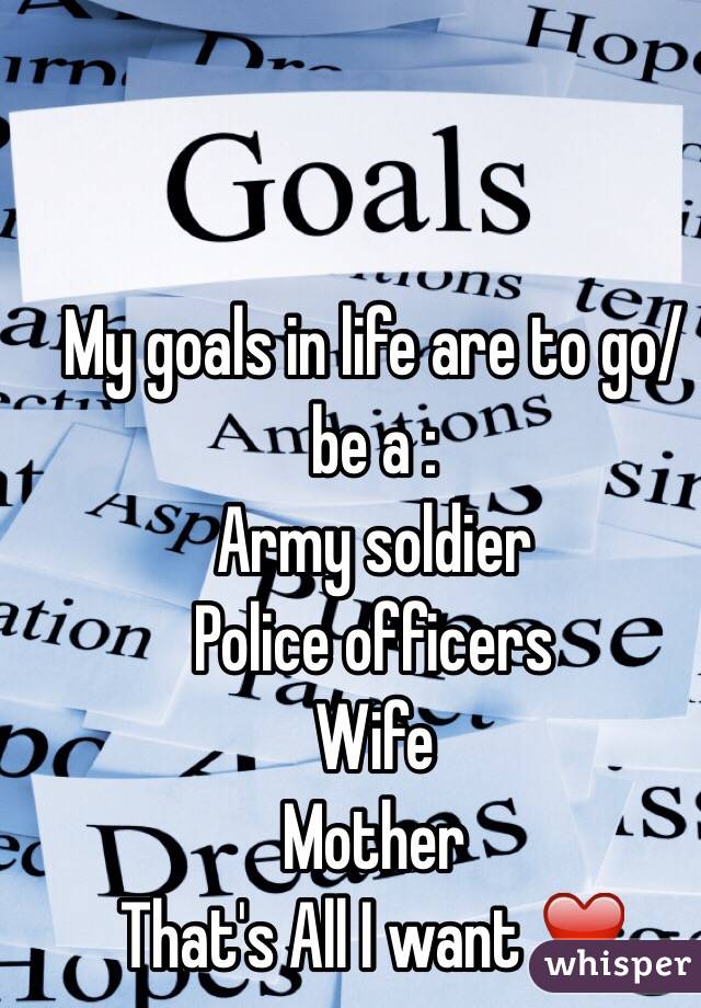 My goals in life are to go/be a :
Army soldier
Police officers
Wife
Mother 
 That's All I want ❤️