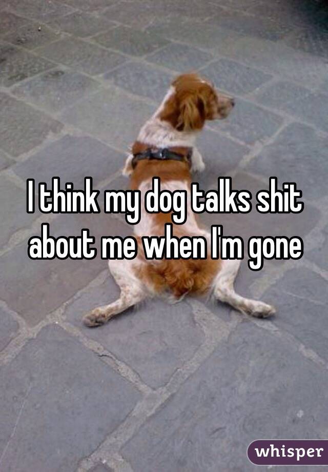 I think my dog talks shit about me when I'm gone