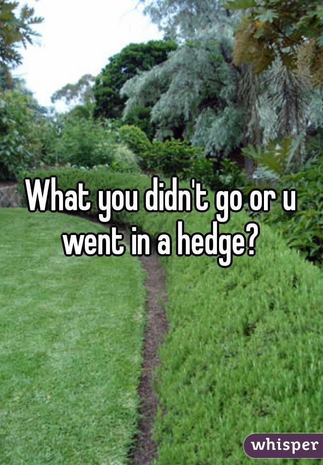 What you didn't go or u went in a hedge? 