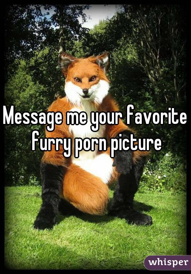 Message me your favorite furry porn picture