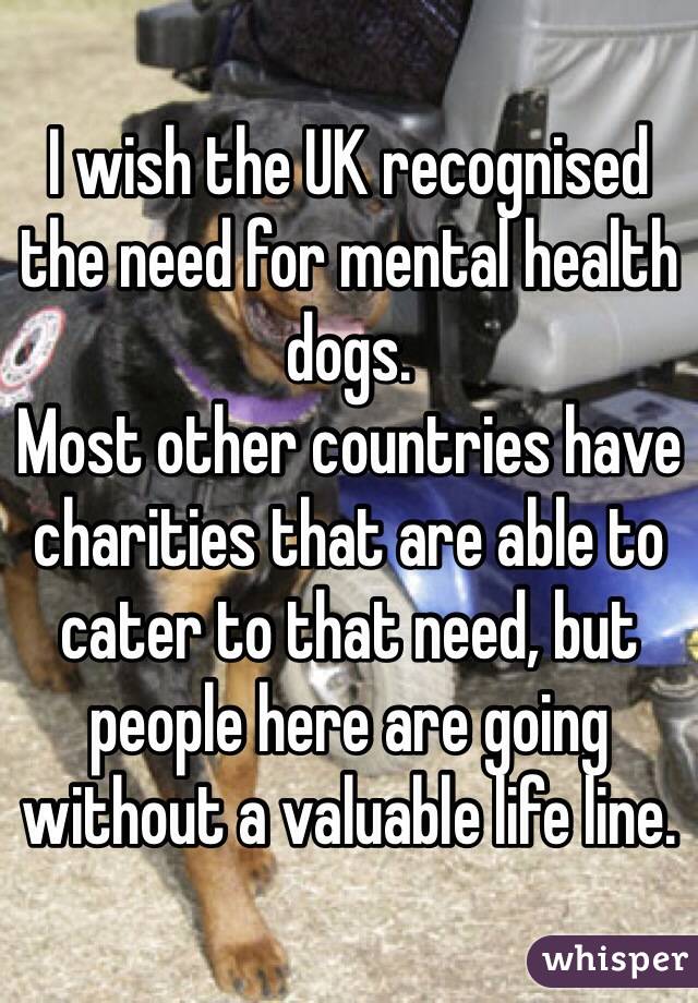 I wish the UK recognised the need for mental health dogs. 
Most other countries have charities that are able to cater to that need, but people here are going without a valuable life line.  