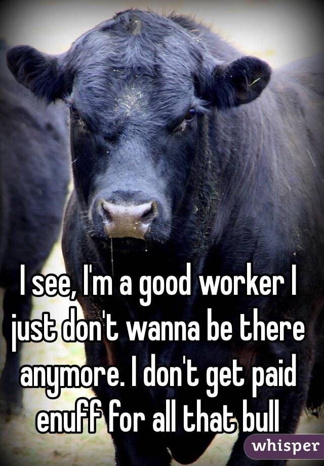 I see, I'm a good worker I just don't wanna be there anymore. I don't get paid enuff for all that bull 