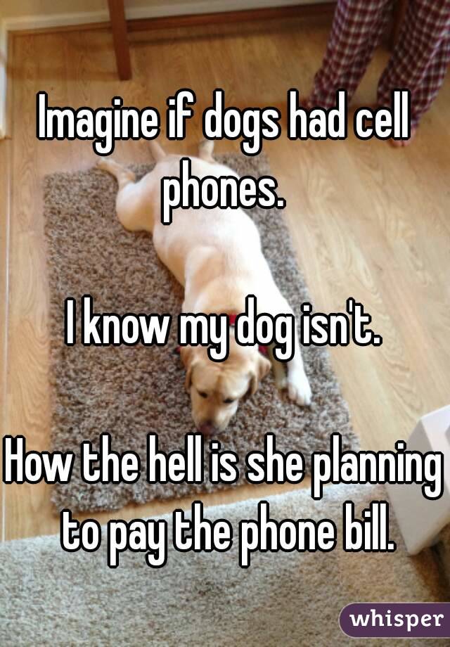 Imagine if dogs had cell phones. 

I know my dog isn't.

How the hell is she planning to pay the phone bill.
