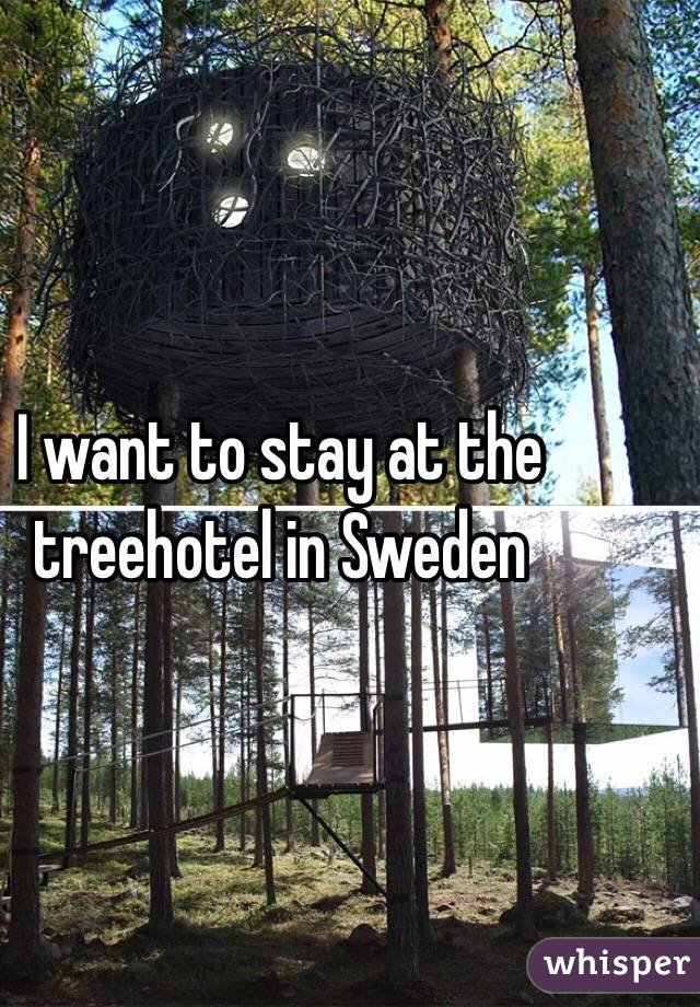 I want to stay at the treehotel in Sweden