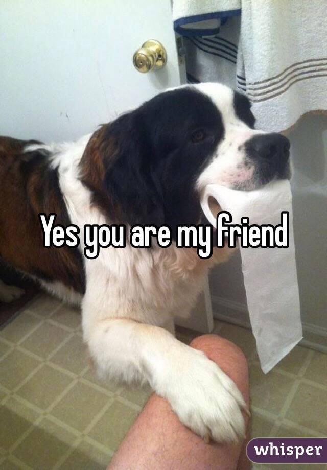 Yes you are my friend 