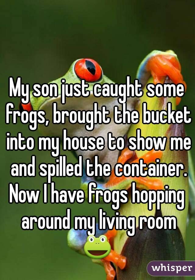 My son just caught some frogs, brought the bucket into my house to show me and spilled the container.
Now I have frogs hopping around my living room
🐸