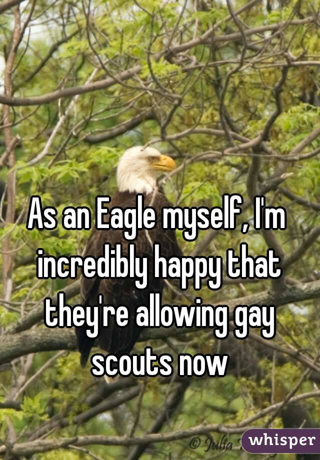 As an Eagle myself, I'm incredibly happy that they're allowing gay scouts now