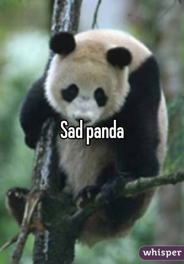 Sad panda