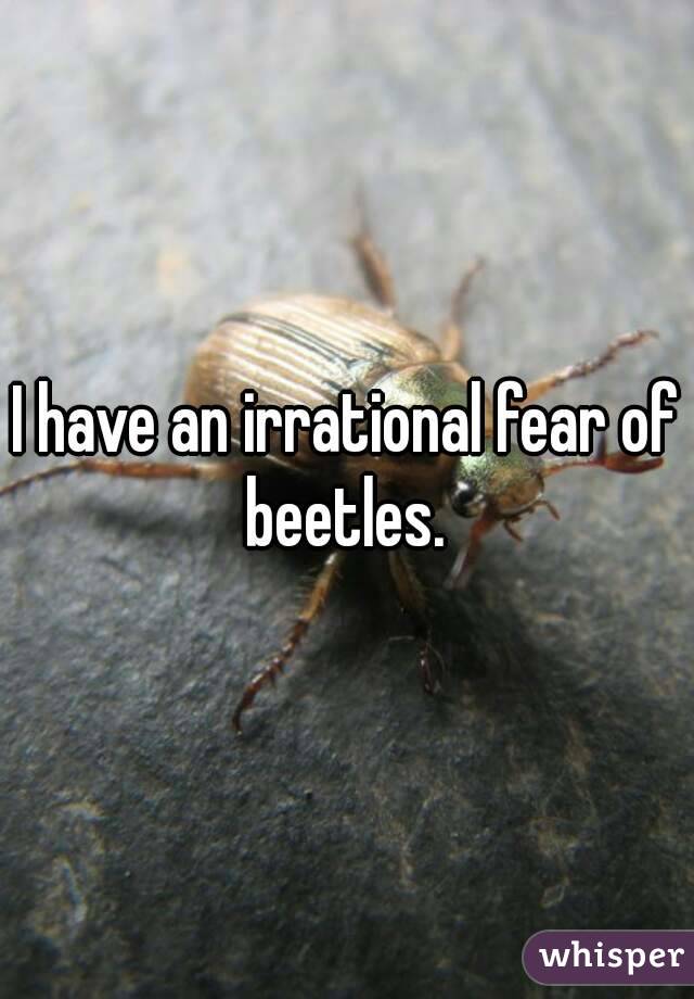 I have an irrational fear of beetles. 