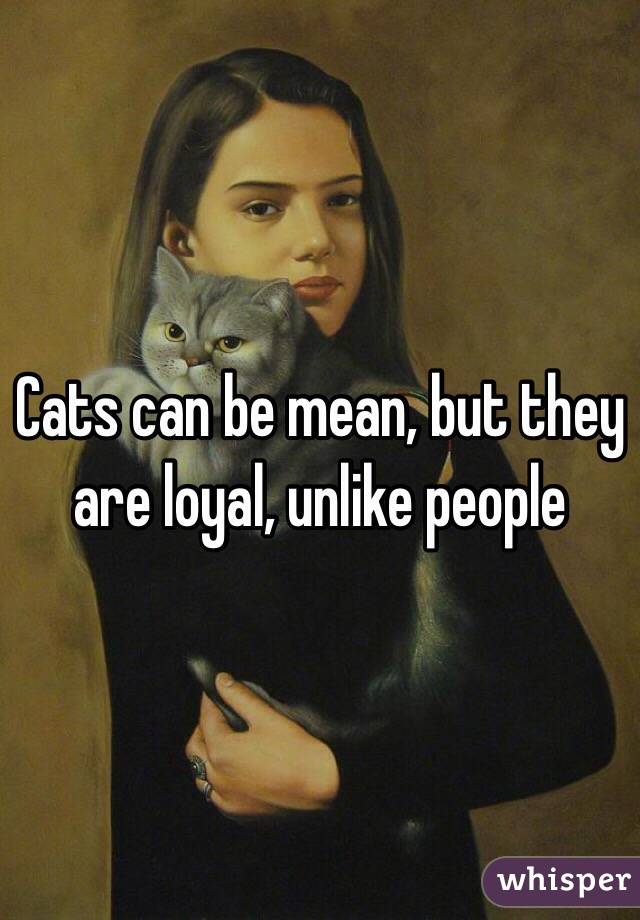 Cats can be mean, but they are loyal, unlike people