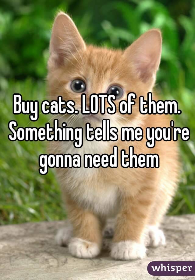 Buy cats. LOTS of them. Something tells me you're gonna need them