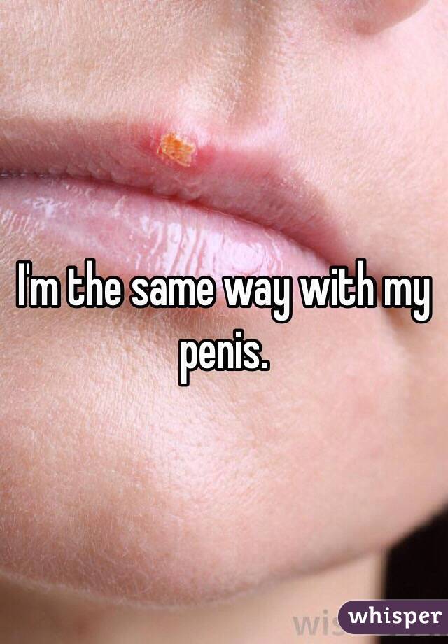 I'm the same way with my penis.