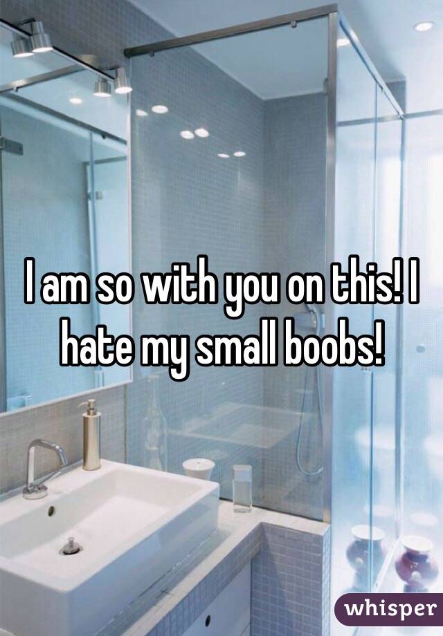 I am so with you on this! I hate my small boobs! 