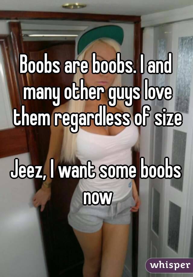 Boobs are boobs. I and many other guys love them regardless of size

Jeez, I want some boobs now