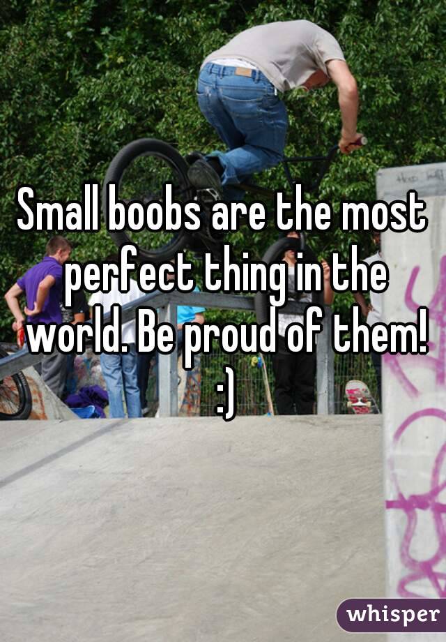 Small boobs are the most perfect thing in the world. Be proud of them! :)