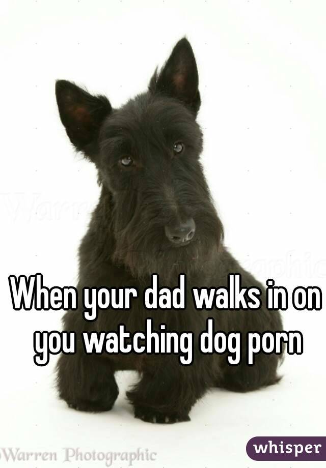 When your dad walks in on you watching dog porn