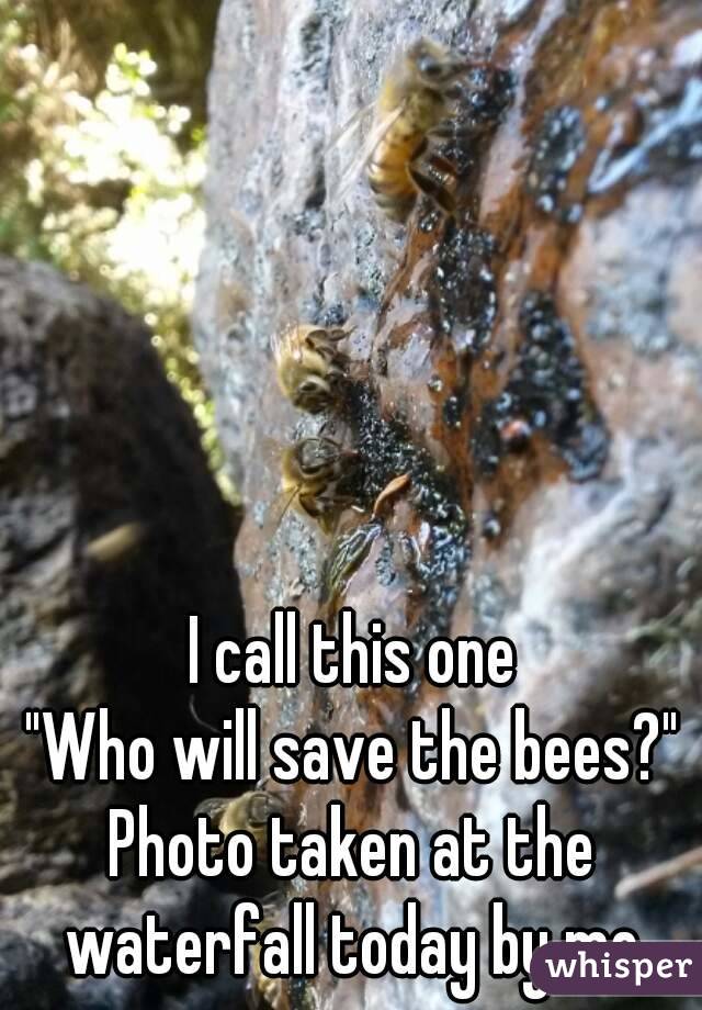 I call this one
"Who will save the bees?"
Photo taken at the waterfall today by me.