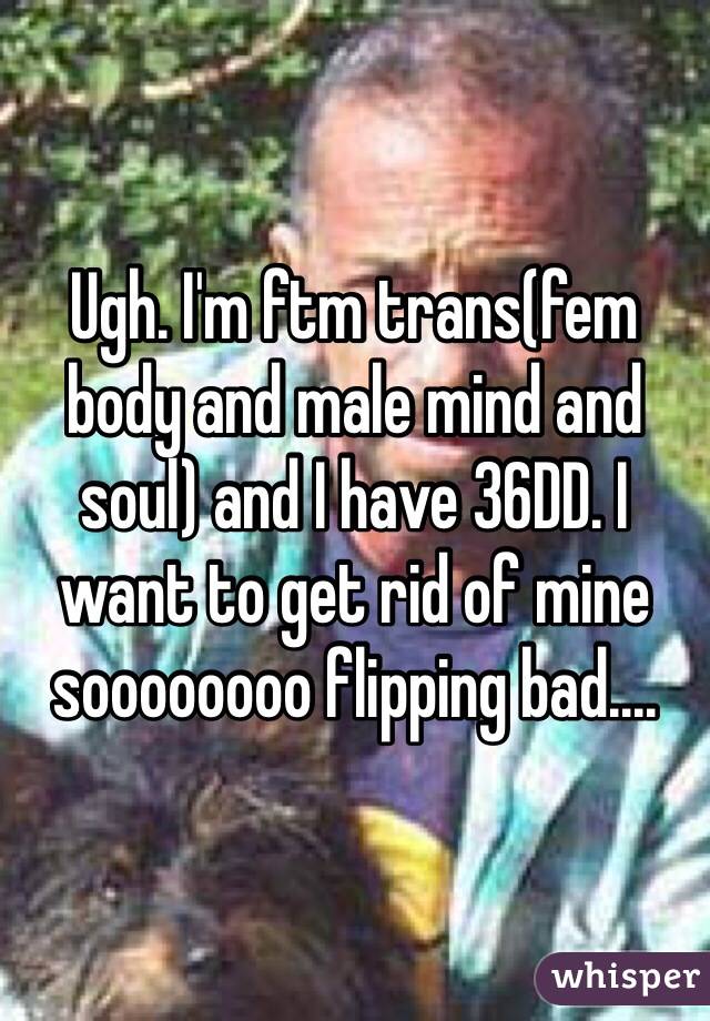 Ugh. I'm ftm trans(fem body and male mind and soul) and I have 36DD. I want to get rid of mine soooooooo flipping bad....