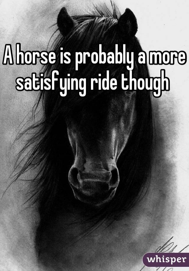A horse is probably a more satisfying ride though 