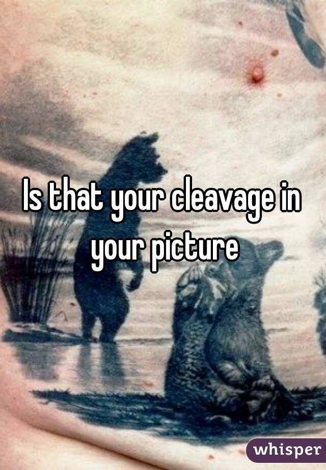 Is that your cleavage in your picture