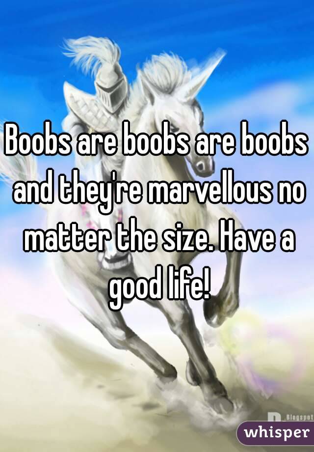 Boobs are boobs are boobs and they're marvellous no matter the size. Have a good life!