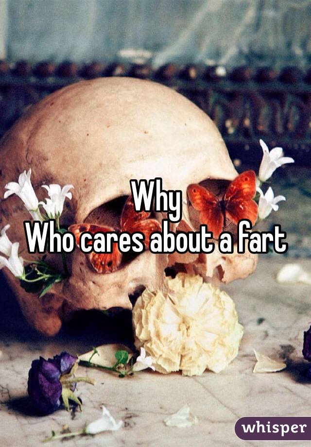Why 
Who cares about a fart