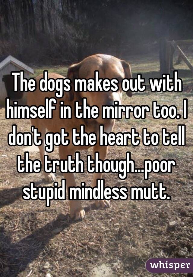 The dogs makes out with himself in the mirror too. I don't got the heart to tell the truth though...poor stupid mindless mutt. 
