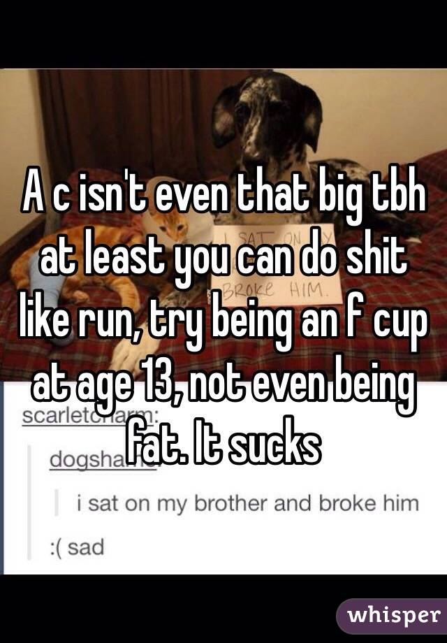 A c isn't even that big tbh at least you can do shit like run, try being an f cup at age 13, not even being fat. It sucks