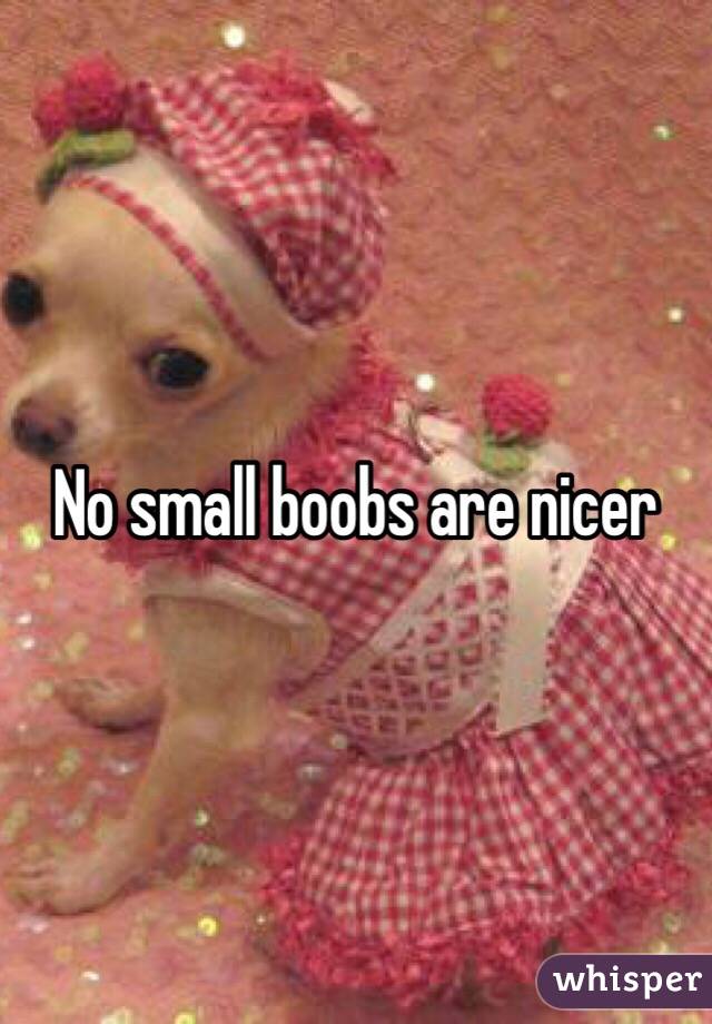 No small boobs are nicer 