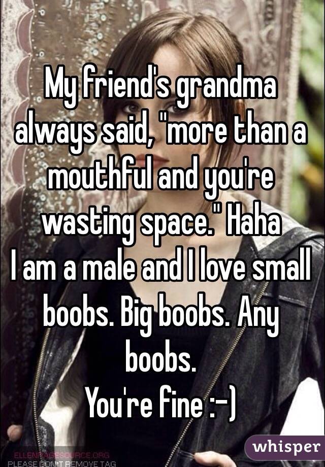My friend's grandma always said, "more than a mouthful and you're wasting space." Haha
I am a male and I love small boobs. Big boobs. Any boobs. 
You're fine :-)