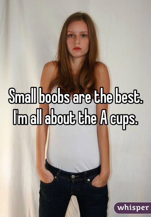 Small boobs are the best. I'm all about the A cups.
