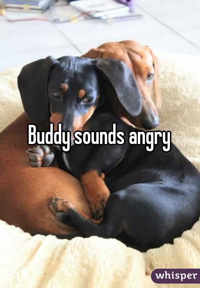 Buddy sounds angry