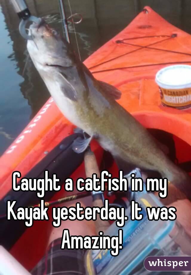 Caught a catfish in my Kayak yesterday. It was Amazing!