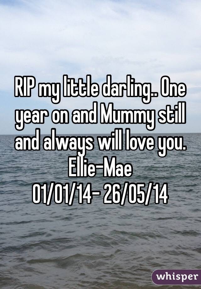 RIP my little darling.. One year on and Mummy still and always will love you. 
Ellie-Mae 
01/01/14- 26/05/14
