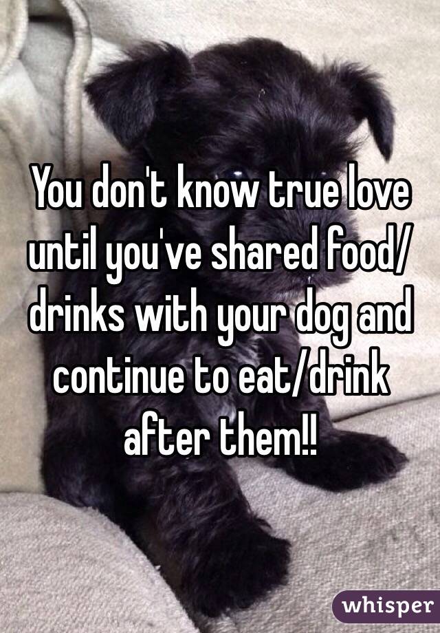 You don't know true love until you've shared food/drinks with your dog and continue to eat/drink after them!!  