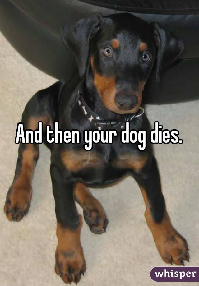 And then your dog dies.