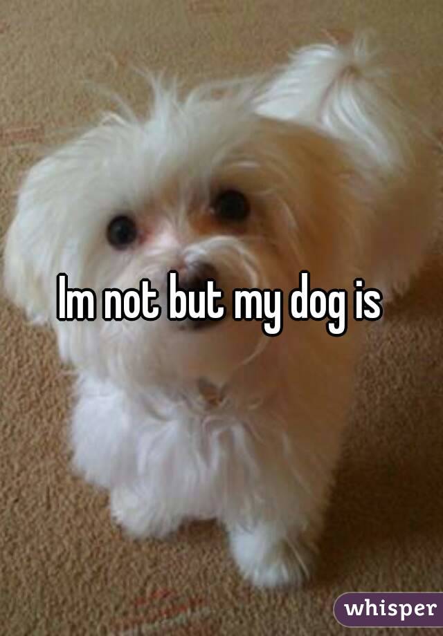 Im not but my dog is