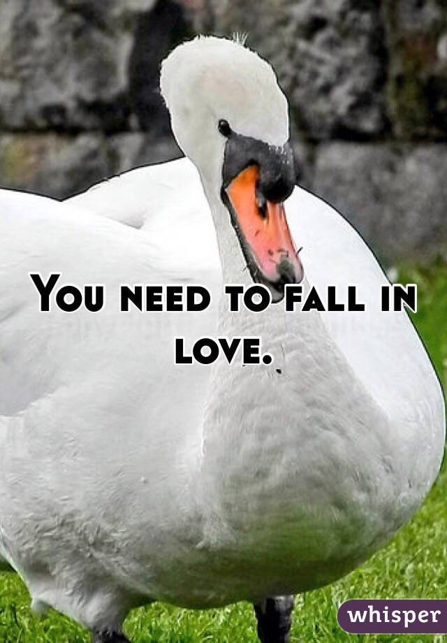 You need to fall in love.