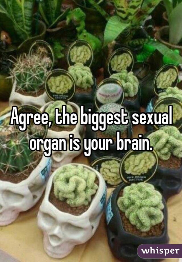 Agree, the biggest sexual organ is your brain.