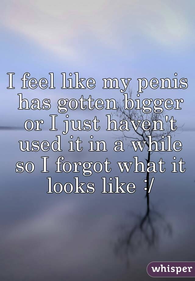 I feel like my penis has gotten bigger or I just haven't used it in a while so I forgot what it looks like :/