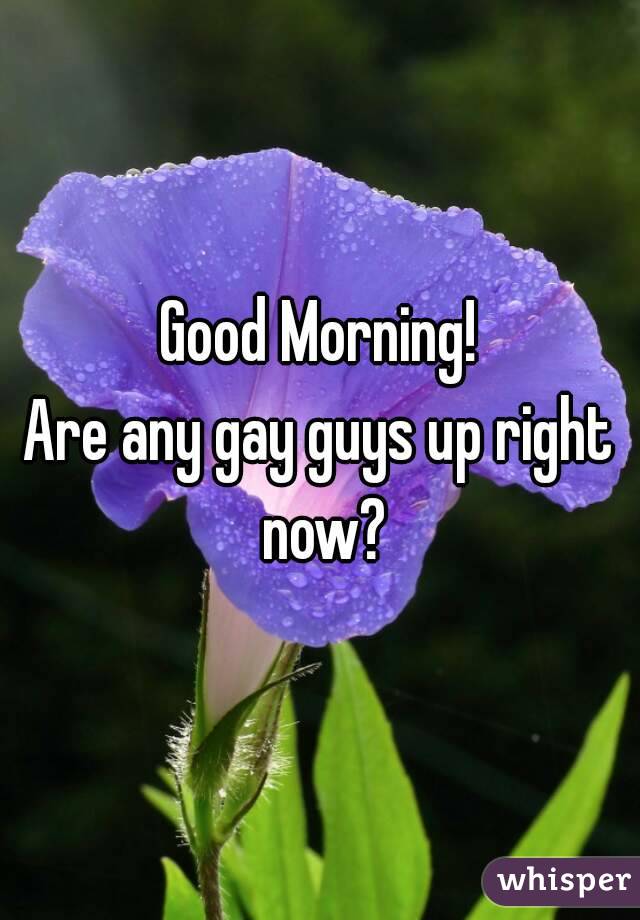 Good Morning!
Are any gay guys up right now?