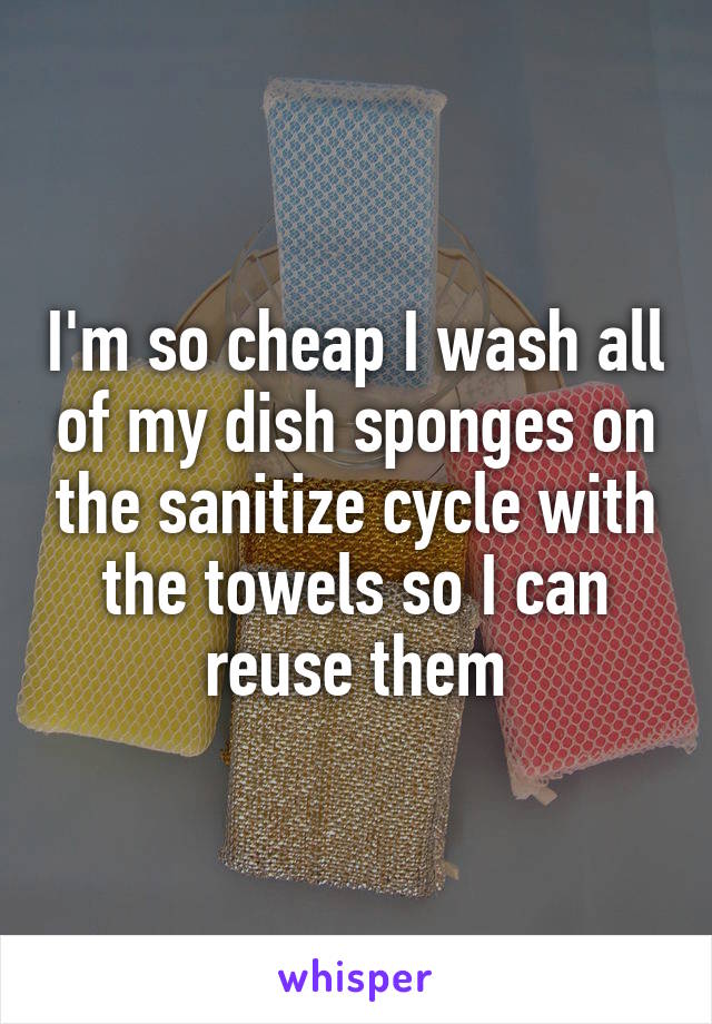 I'm so cheap I wash all of my dish sponges on the sanitize cycle with the towels so I can reuse them